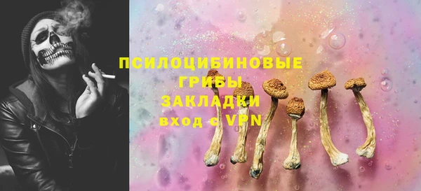 МДПВ Дмитров