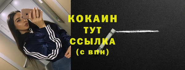 прущие грибы Дмитриев