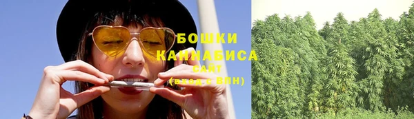 прущие грибы Дмитриев