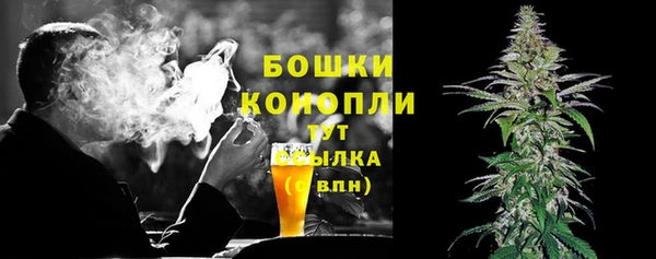 МДПВ Дмитров