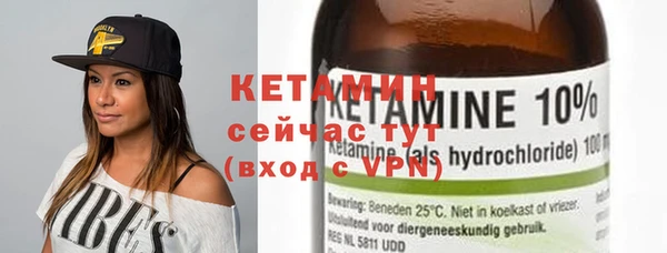 прущие грибы Дмитриев