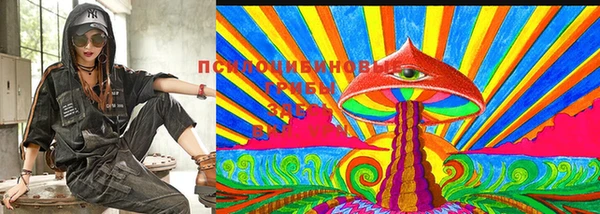 прущие грибы Дмитриев