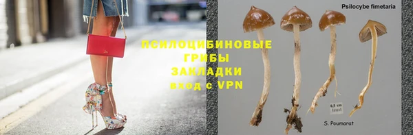 МДПВ Дмитров