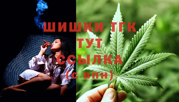 МДПВ Дмитров