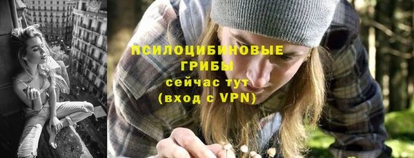 МДПВ Дмитров