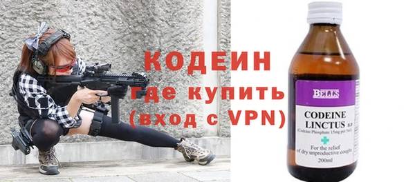 прущие грибы Дмитриев