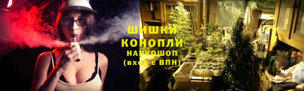 МДПВ Дмитров